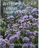 画像: スウィーティージャックジャム