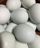 画像: 緑の一番星