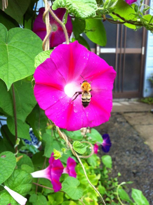 画像: 「夏の工芸学校」