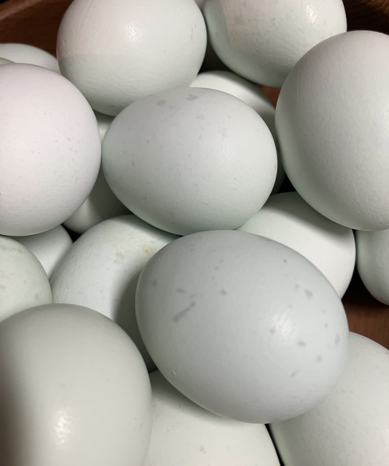 画像: 緑の一番星